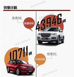 網(wǎng)通社汽車佳木斯安信 專業(yè)銷售服務(wù)，驅(qū)動(dòng)龍江出行新體驗(yàn)