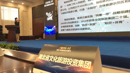 鄂旅投荊門愛飛客公司亮相首屆江西國際旅游消費節(jié) 文化產(chǎn)業(yè)投資成果斐然